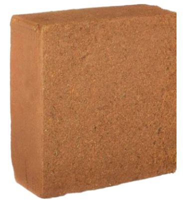 Brown brick of Coir Peat on a white background