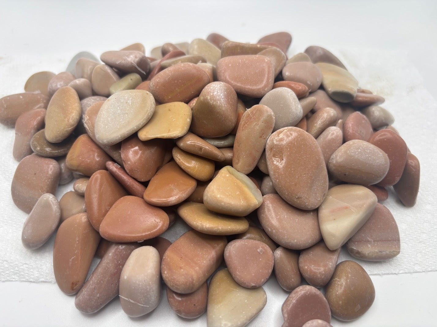 Assorted pine and orange colored pebbles on a white background