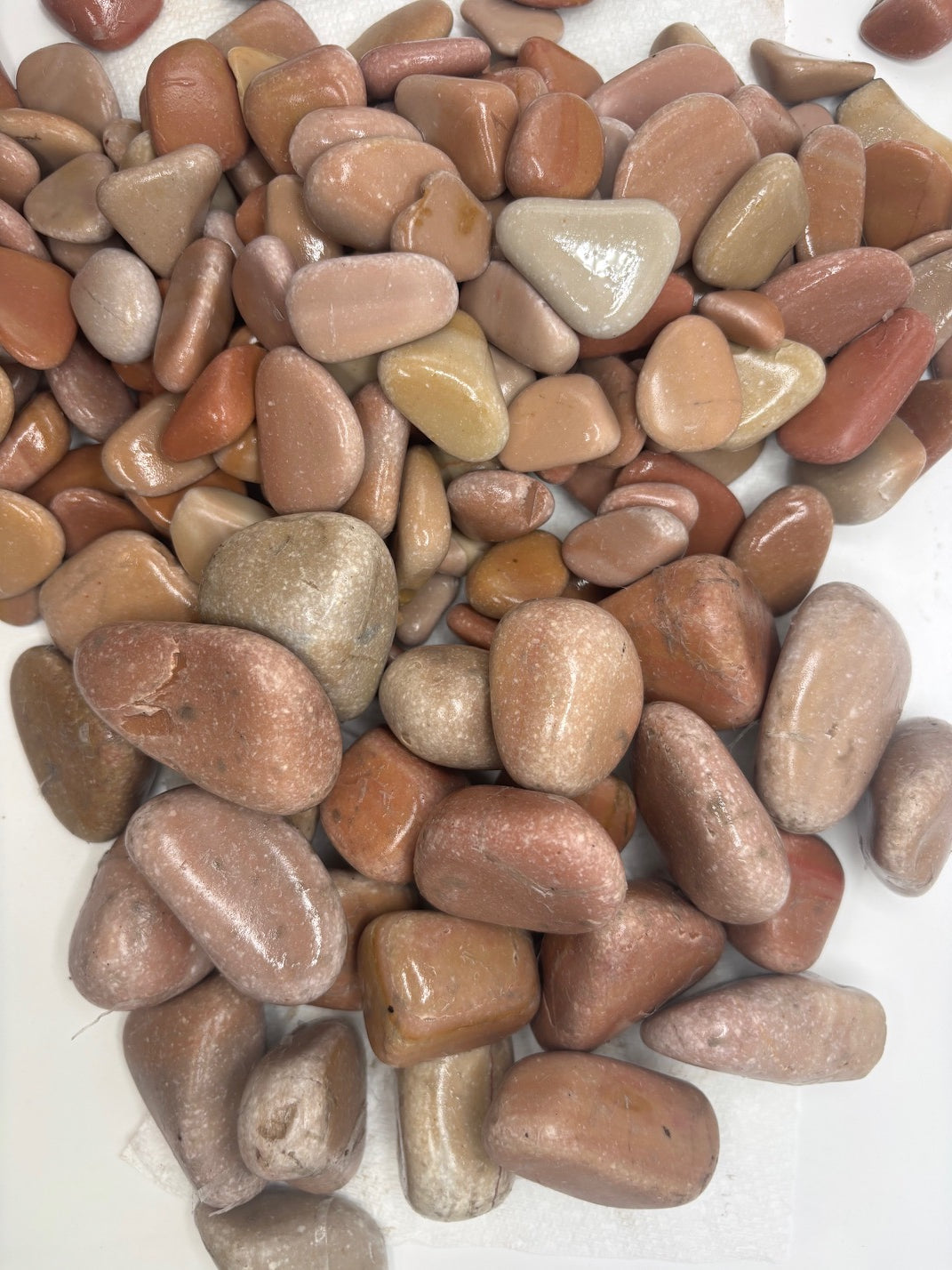 Wetted Mauve chips provided by Earthly Supply